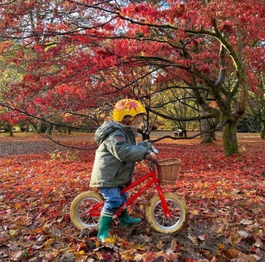 Bobbin Bikes Laufrad Moonbug Balance 12" mit Korb