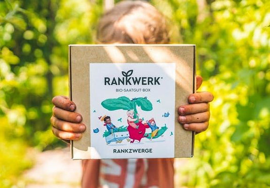 Rankzwerge BIO-SAATGUT-BOX